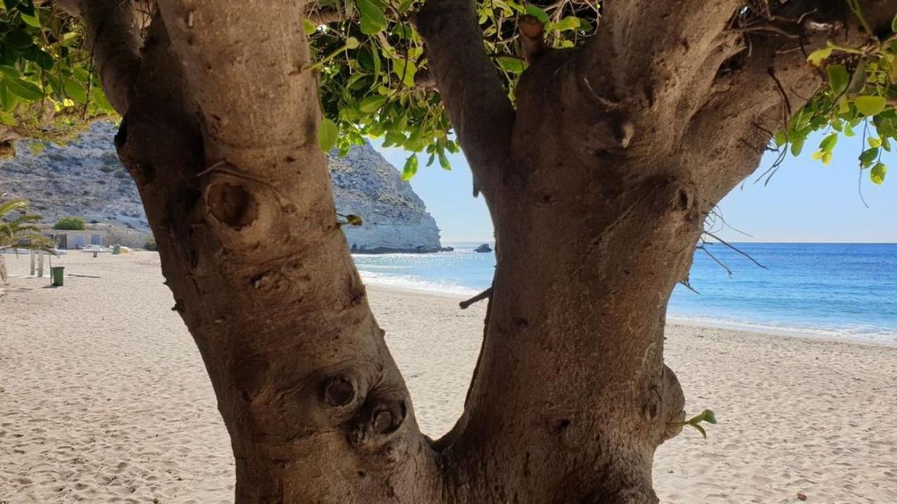 Villa Casa El Algarrobico Agua Amarga  Esterno foto